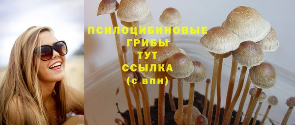 мяу мяу мука Алексин