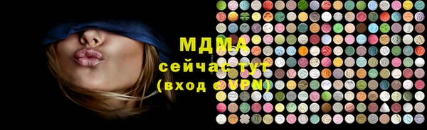прущие грибы Магадан