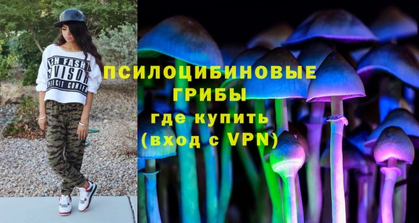 винт Алексеевка