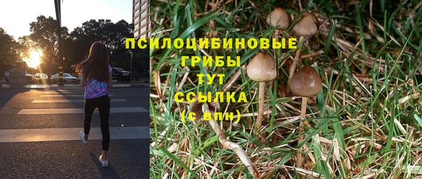 мяу мяу мука Алексин