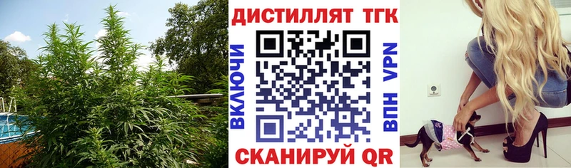KRAKEN как зайти  Цивильск  Дистиллят ТГК THC oil 