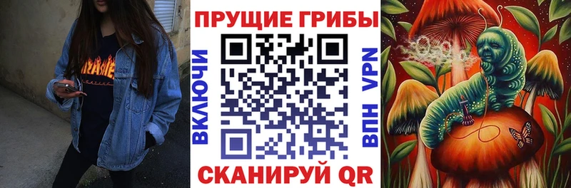 Псилоцибиновые грибы мухоморы  гидра вход  Цивильск 